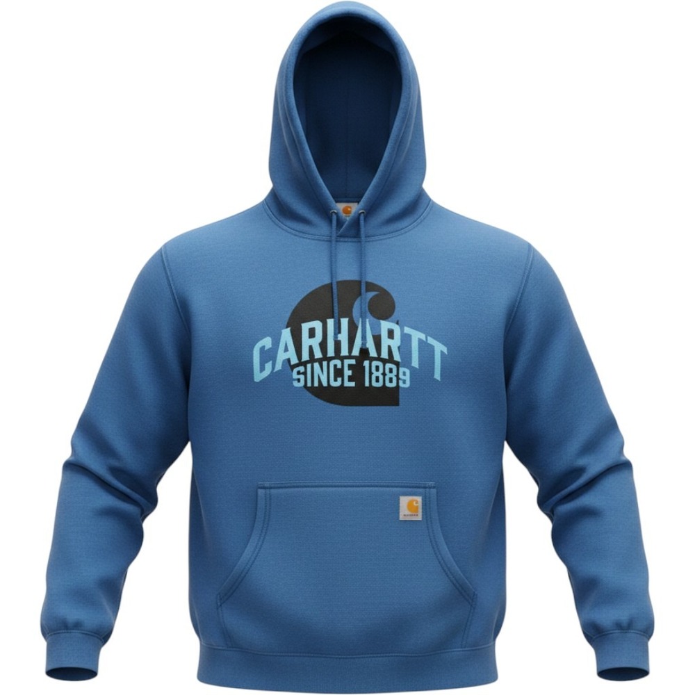 Carhartt Hoodie Mens 2XL Blue NWOT Loose Fit Graphic Fleece Pullover TS5498-M